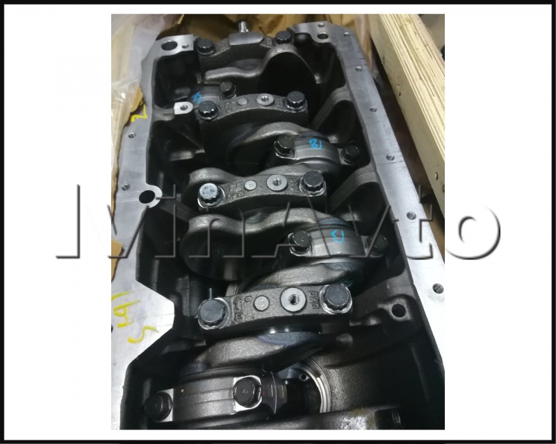 Блок цилиндров в сборе (ДВС Е3 в сборе)Hyundai/Kia 2100045500