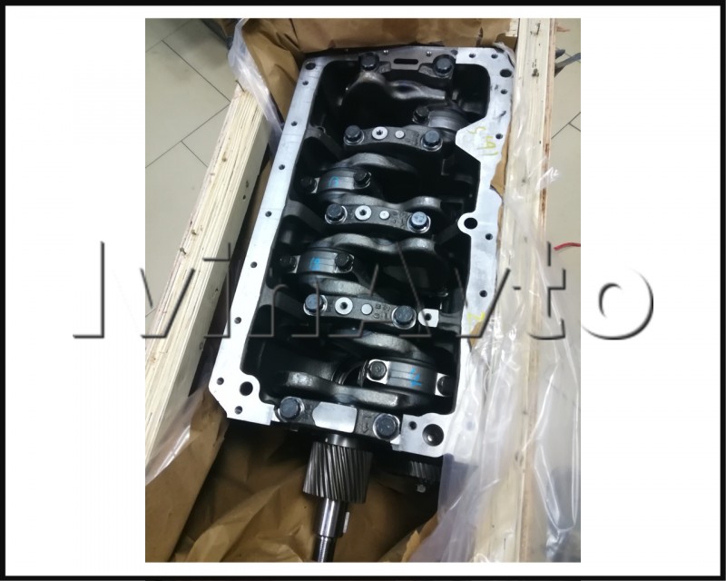 Блок цилиндров в сборе (ДВС Е3 в сборе)Hyundai/Kia 2100045500