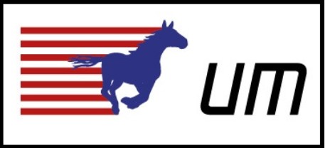 Что такое бренд United Motors ?  