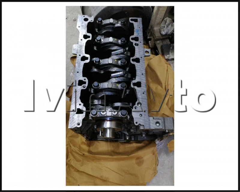 Блок цилиндров в сборе D4GA Hyundai/Kia 2100048000