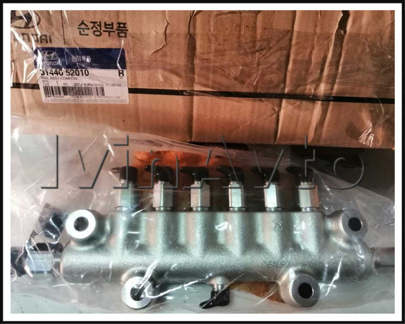Рампа топливная D6GA HD120 Hyundai/Kia 3144052010