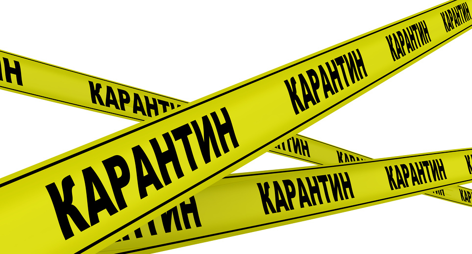 Внимание карантин!