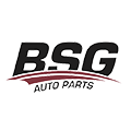 BSG_logo