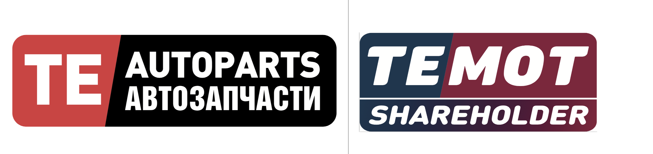 skladspk стал участником TE Autoparts