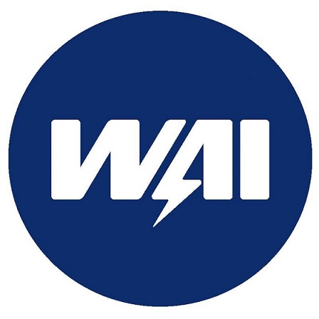 Стартеры и генераторы WAI