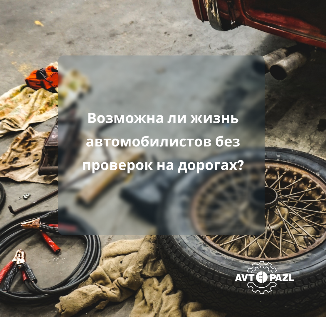 Возможна ли жизнь автомобилистов без проверок на дорогах?