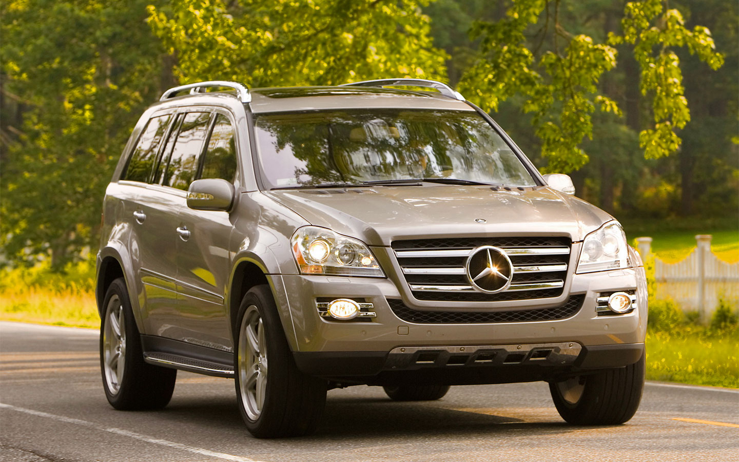 Mercedes Benz gl450 164