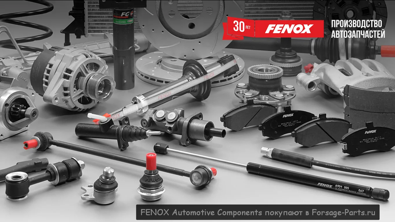 FENOX Automotive Components покупают в Forsage-Parts.ru