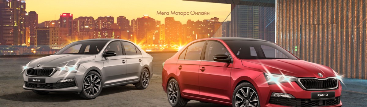 Автозапчасти для Skoda