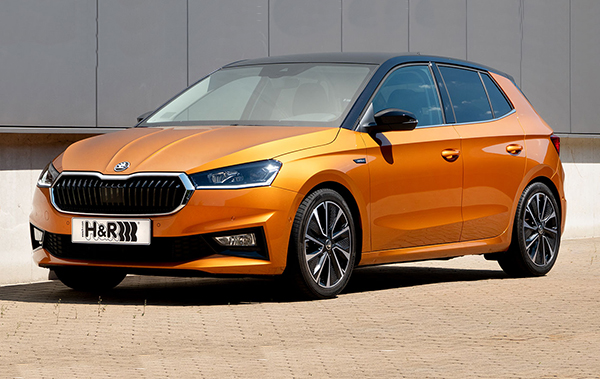 H&R для Skoda Fabia