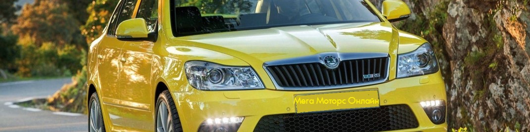 Автозапчасти для Skoda Octavia 2004-2013