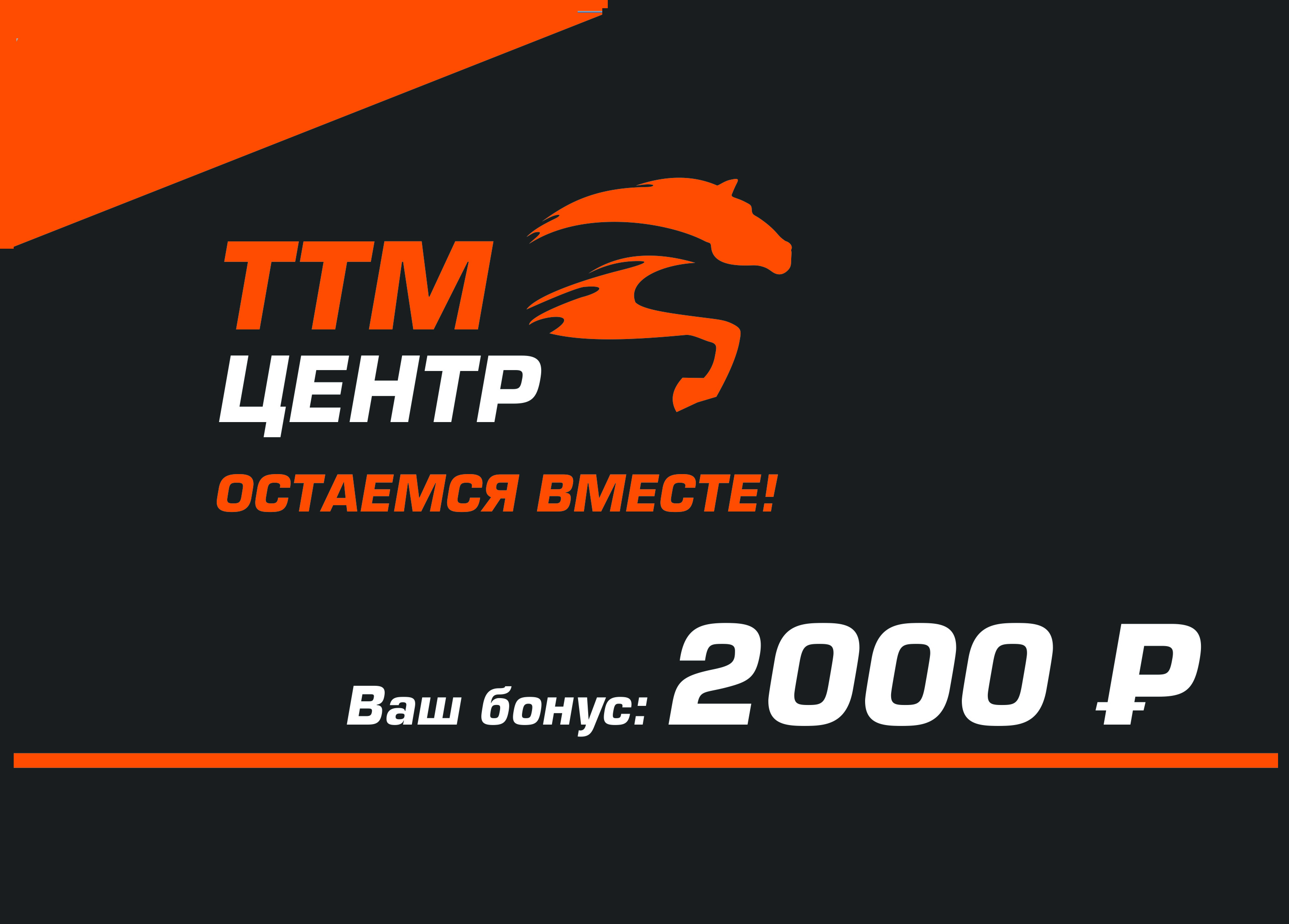 ТТМ Центр Рязань. Акция "Остаемся вместе" 