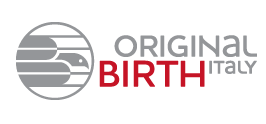 Купить запчасти бренда Birth с доставкой по России и СНГ
