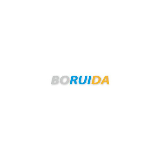 Купить запчасти BORUIDA с доставкой по России и СНГ