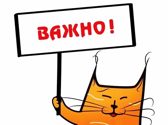 РАСПИСАНИЕ НА НОВОГОДНИЕ ПРАЗДНКИ