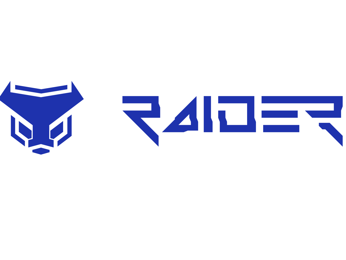 RAIDER