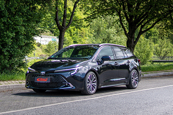 Eibach для Toyota Corolla touring sports