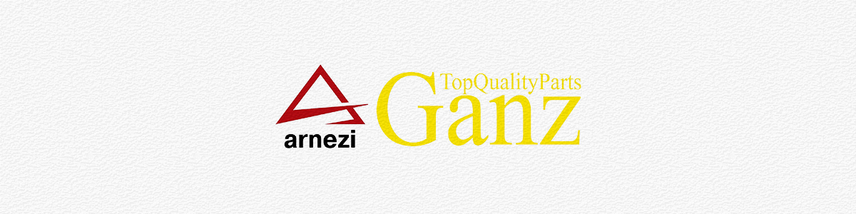 Авто-ФЕС стал официальным продавцом GANZ и Arnezi.
