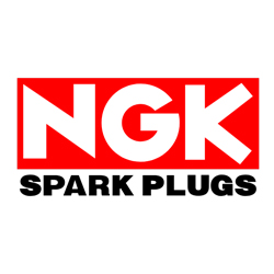 NGK կայծամոմիկներ