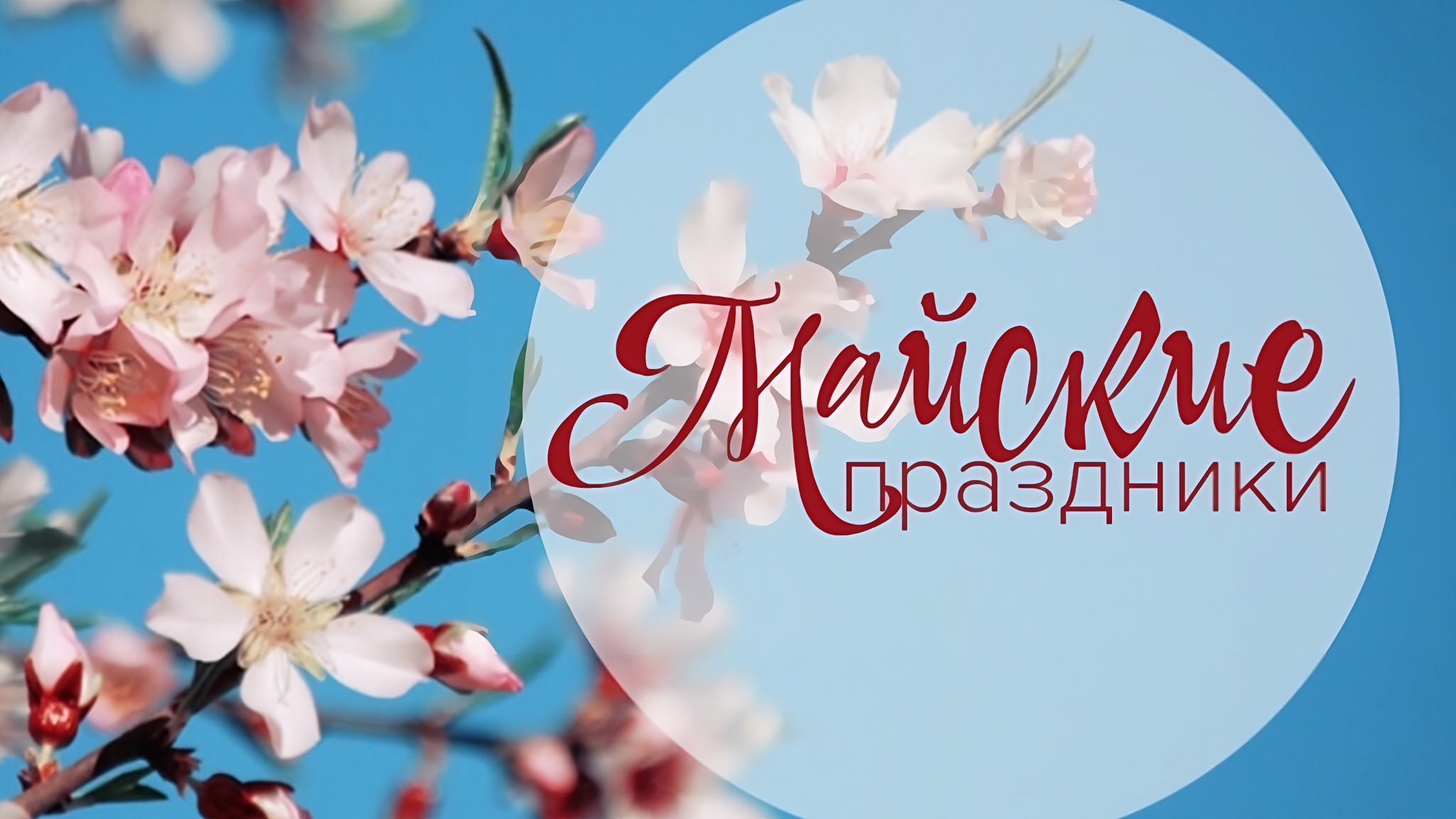 Между май. Между май. Между май. Майские праздники. Между майскими.