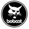 bobcat