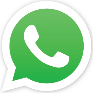 WhatsApp Icon