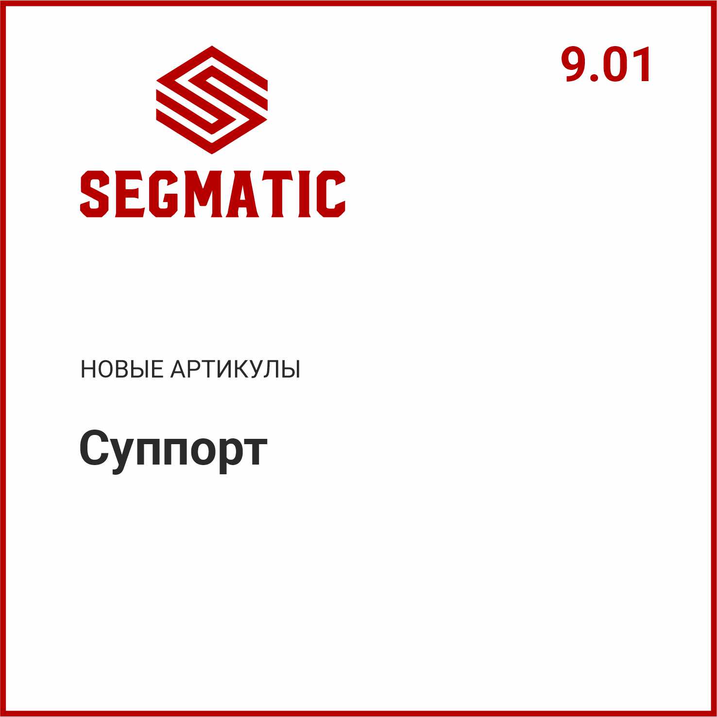 Расширение ассортимента SEGMATIC