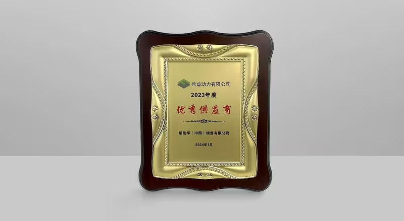 SKF - Исключительный поставщик для BYD