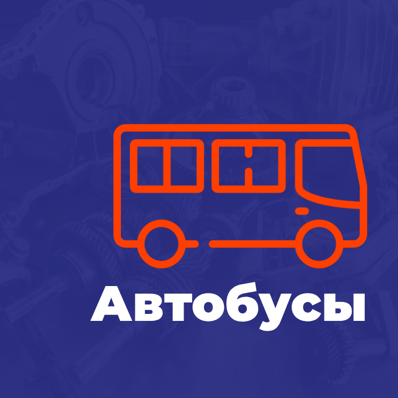 Автобусы