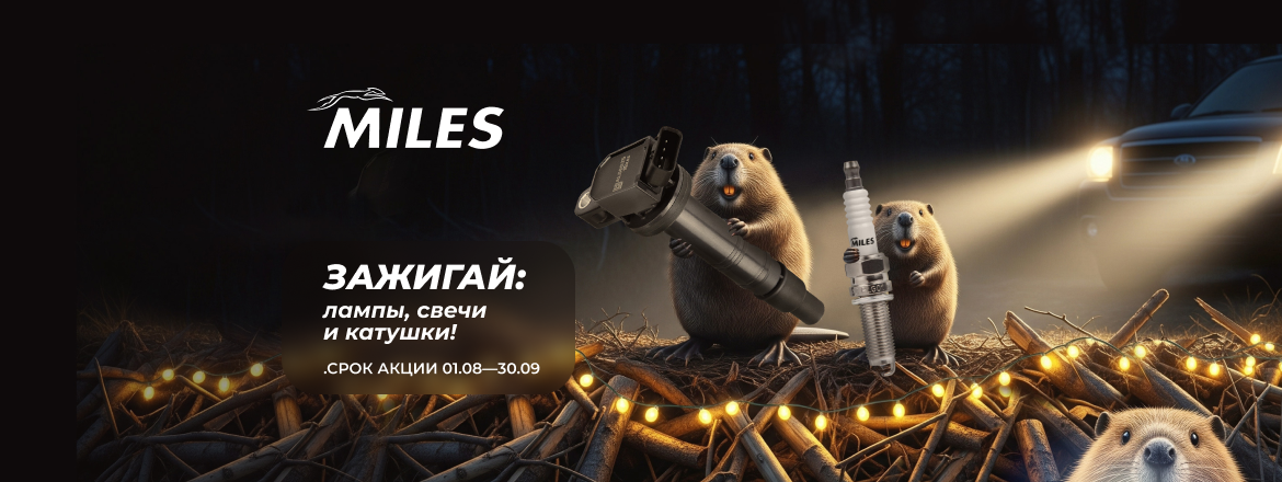 Акция MILES "ЗАЖИГАЙ"