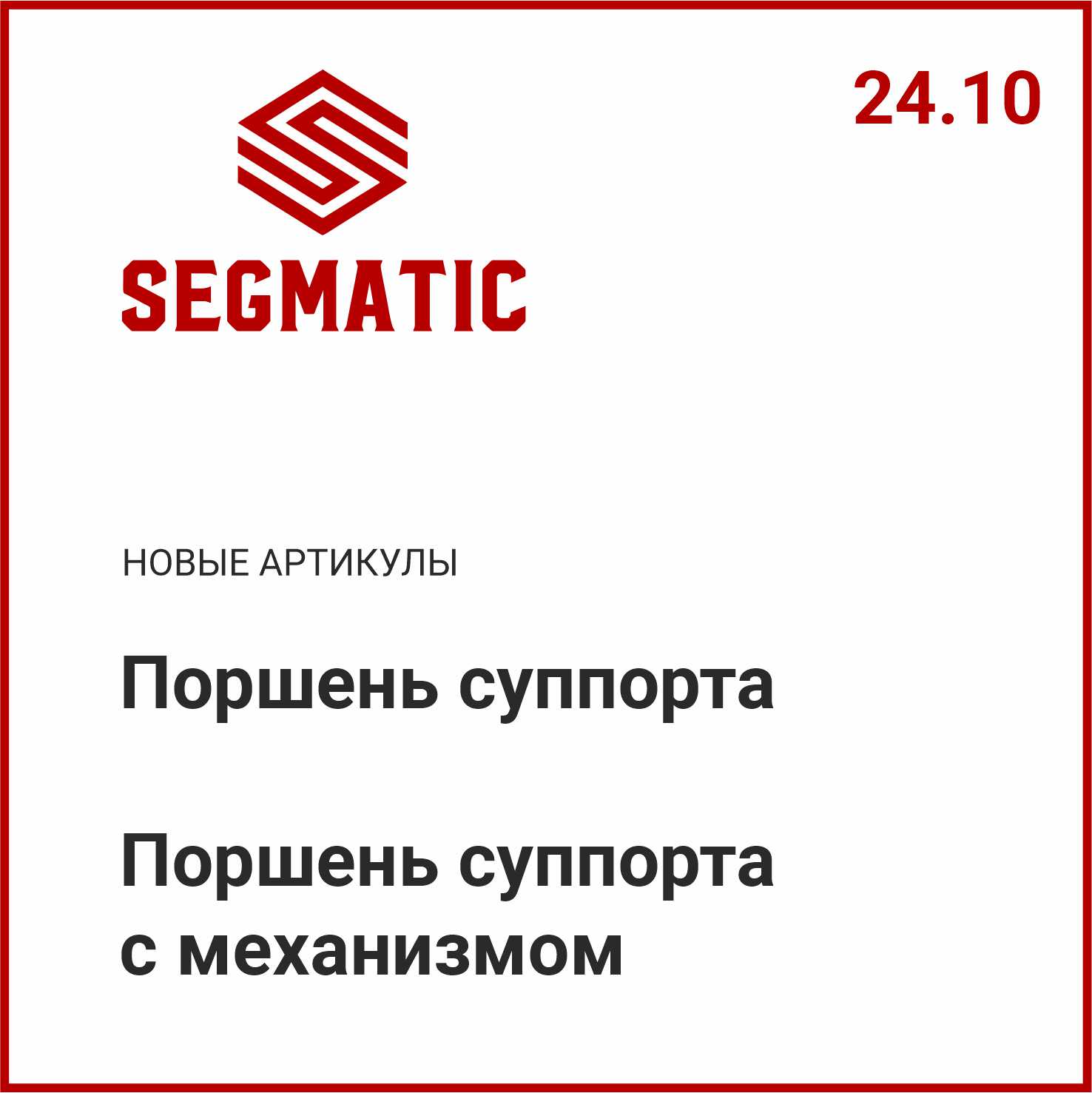 Расширение ассортимента SEGMATIC