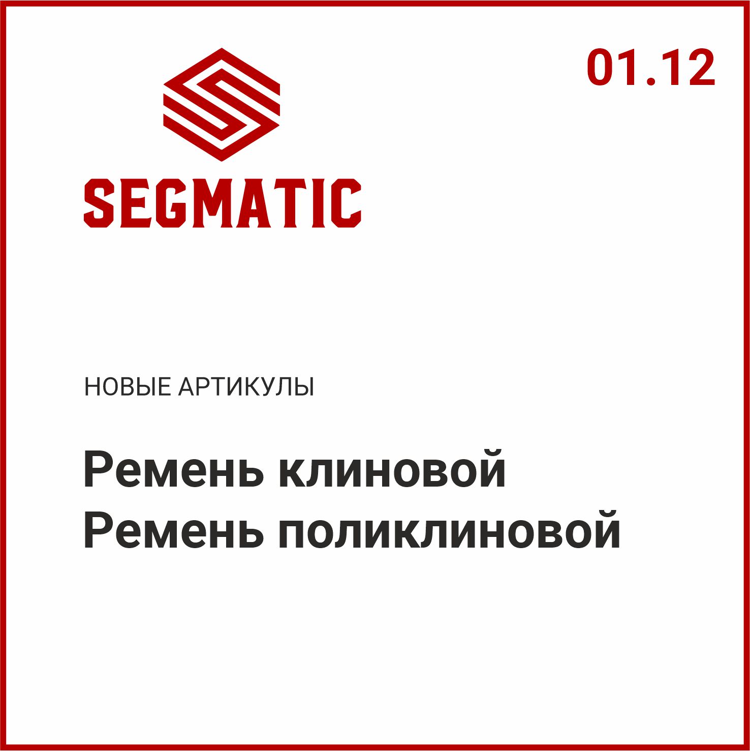 Расширение ассортимента SEGMATIC