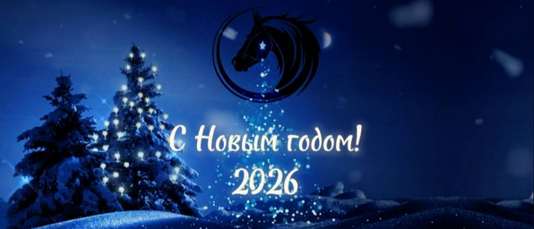 Режим работы на новогодние праздники 2025-2026 год