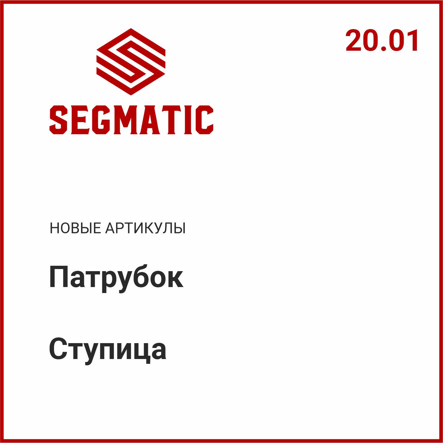 Расширение ассортимента SEGMATIC