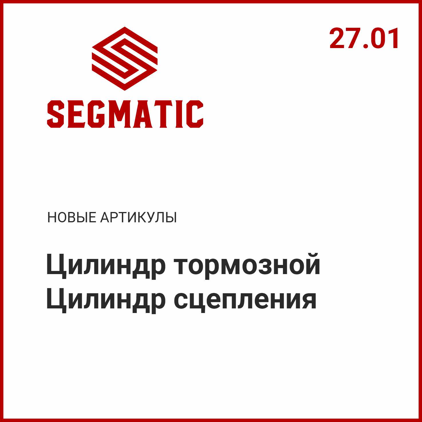 Расширение ассортимента SEGMATIC