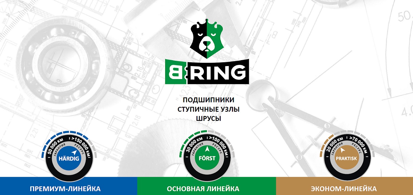 B-RING в портфеле АВТОРУСЬ